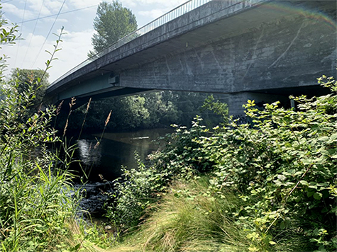 A concrete bridge stretches over vegetation and a tranquil river.