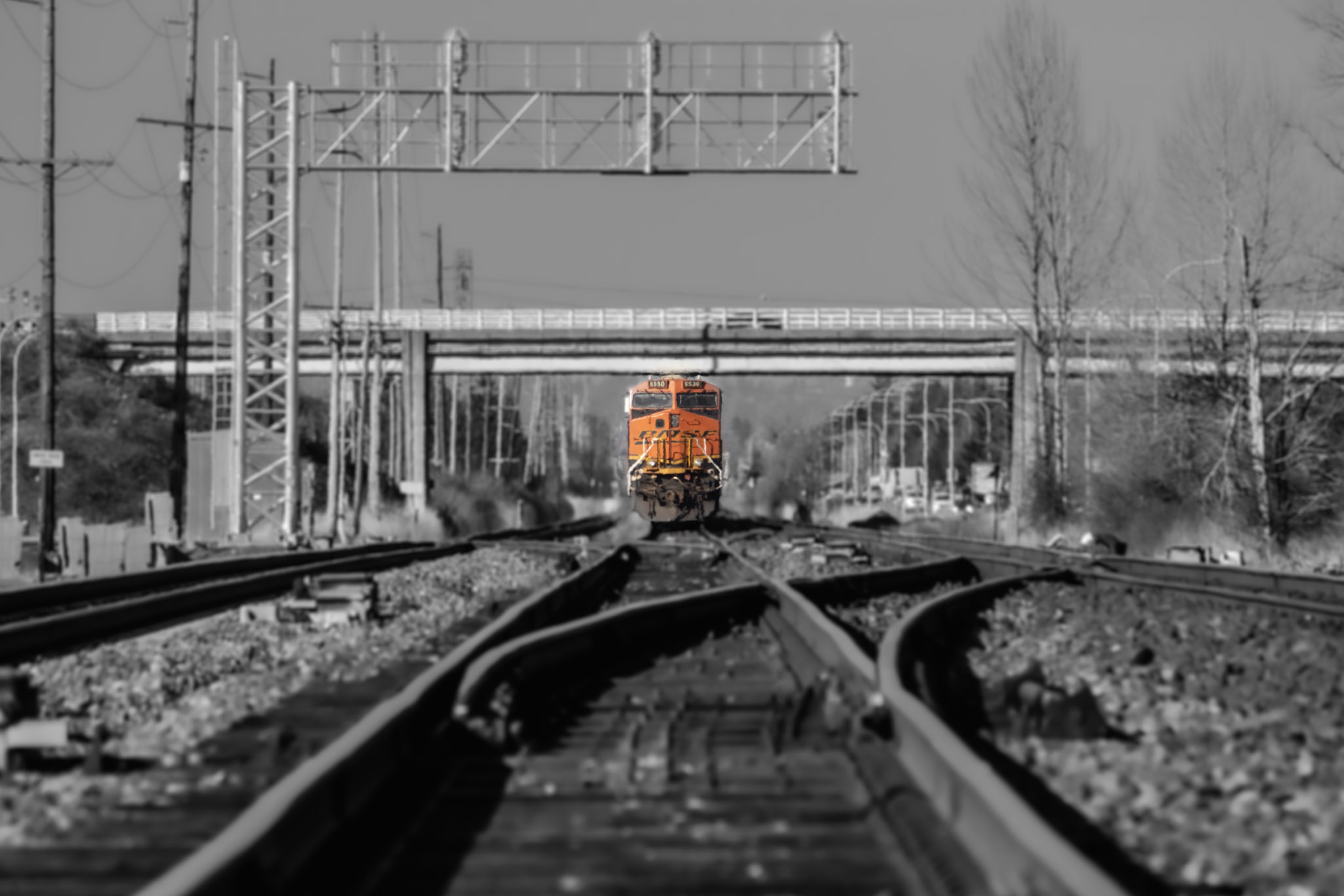 A black and white photo of a train on tracks, the train stands out as the sole thing of color a bright pop of orange in the photo