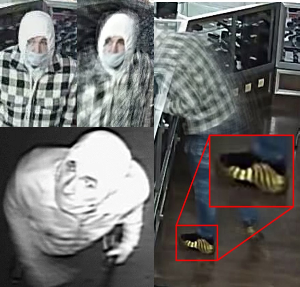 surveillance footage from inside Coastal Farm and Ranch of an individual stealing from the store.