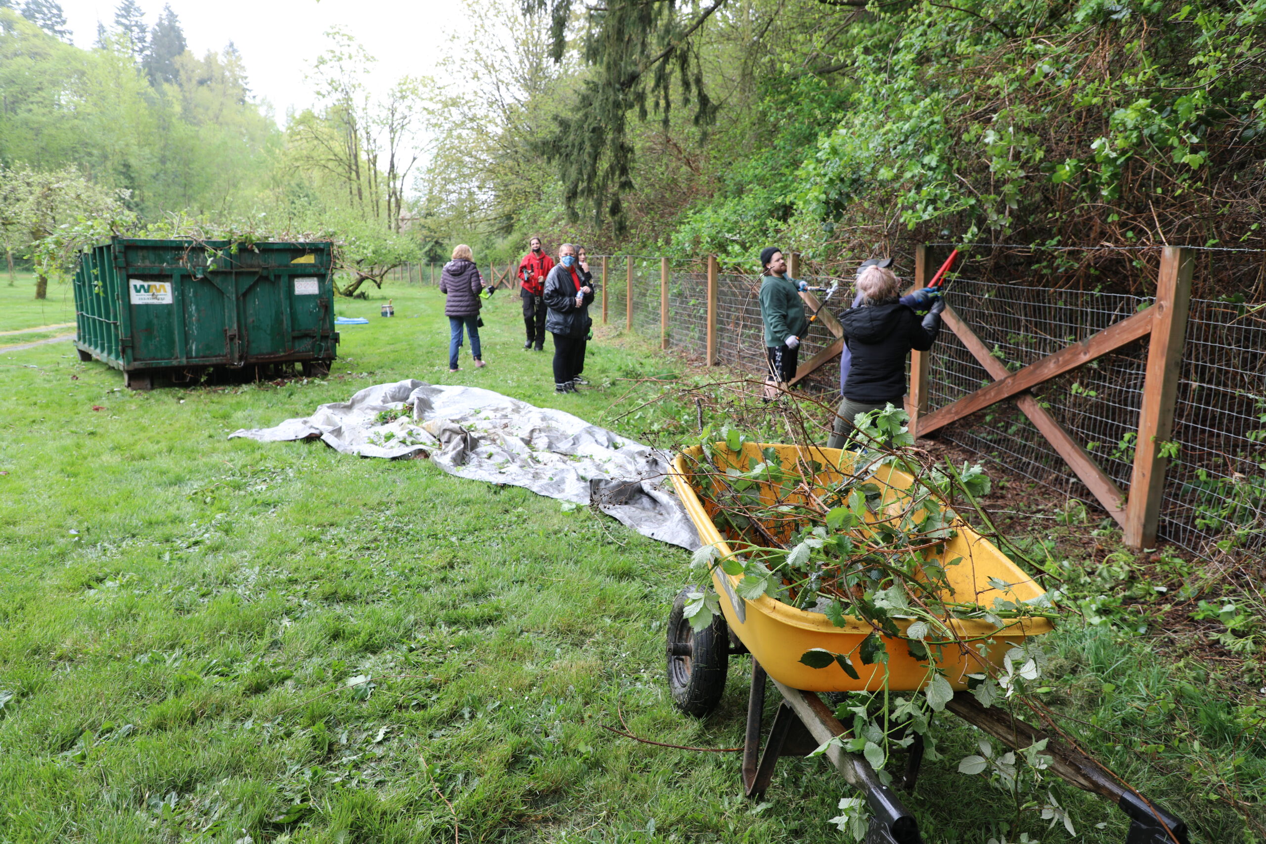 Volunteers trim vegetation during Auburn's Clean Sweep 2021