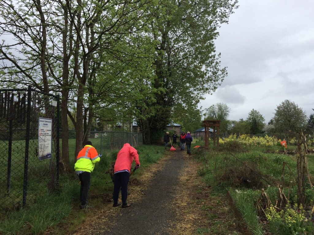 Volunteers clean along a pathway during Auburn's Clean Sweep 2021