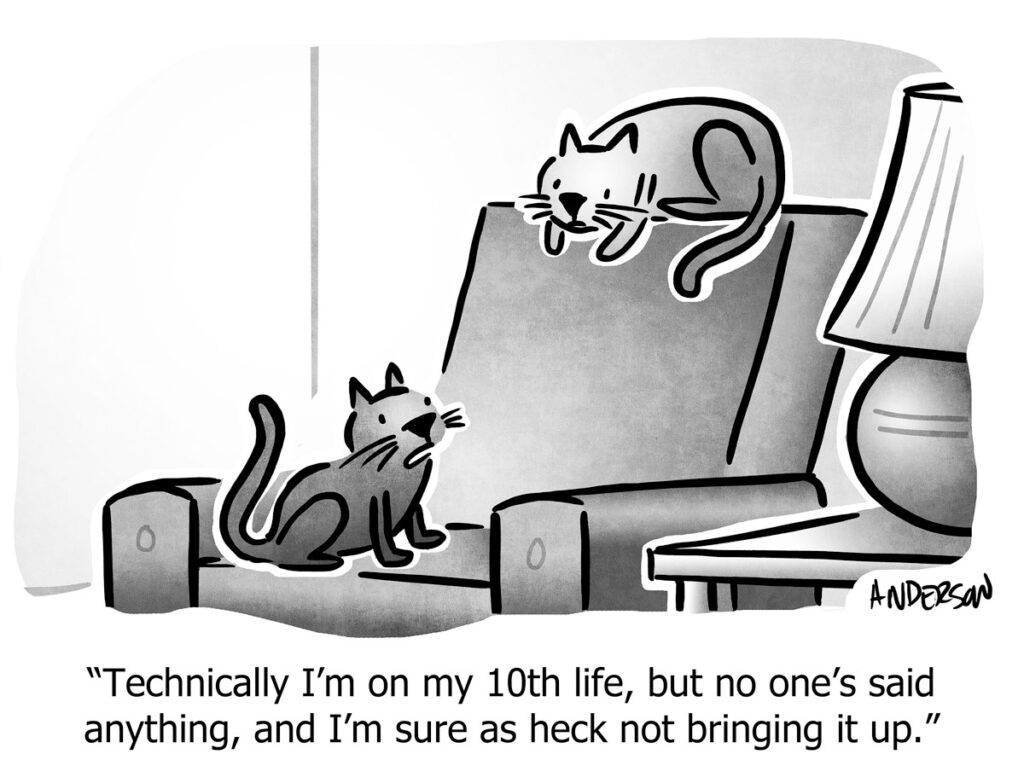 Two Cats on a chair talking, one looking up at the other from the seat to the back of the chair. "Technically I'm on my 10th life, but no one's said anything and I'm sure as heck not bringing it up." Comic by Andertoons.