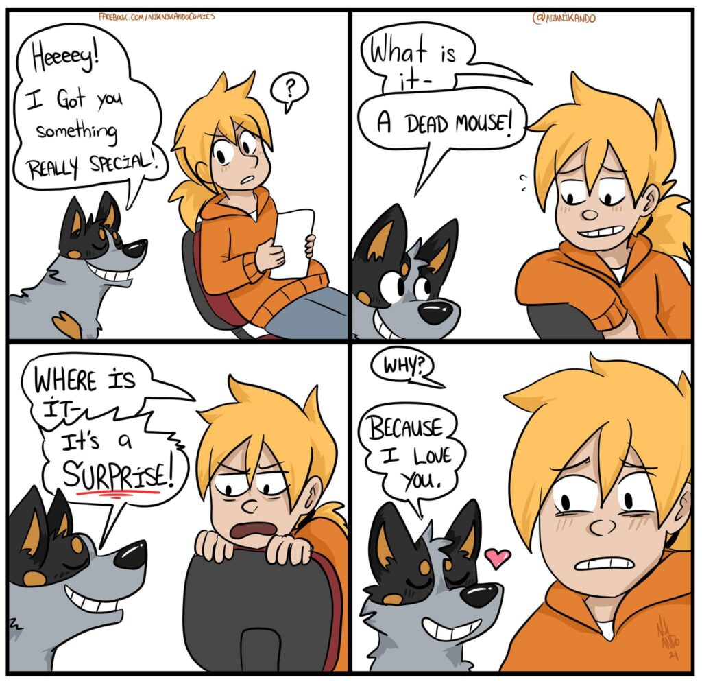 Cattle Dog hid their...dead...present