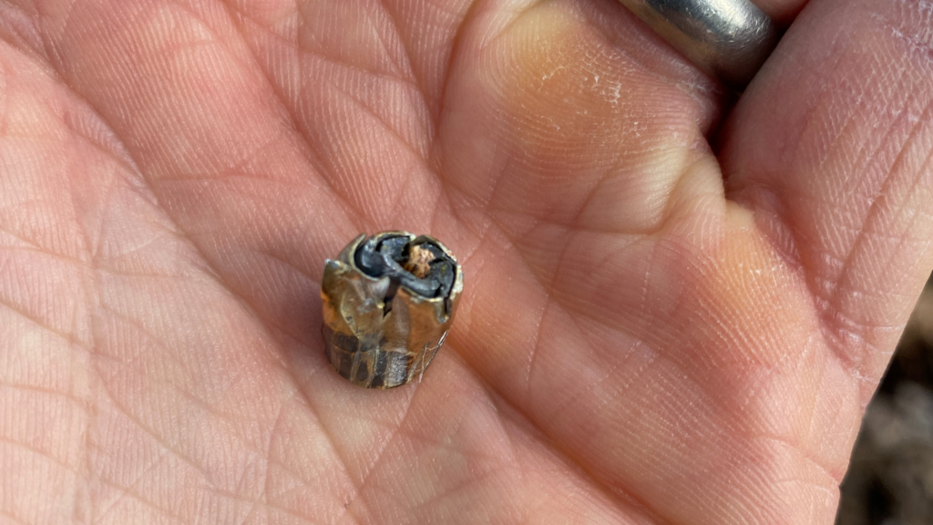 A hand holds a spent, smooshed, bullet.