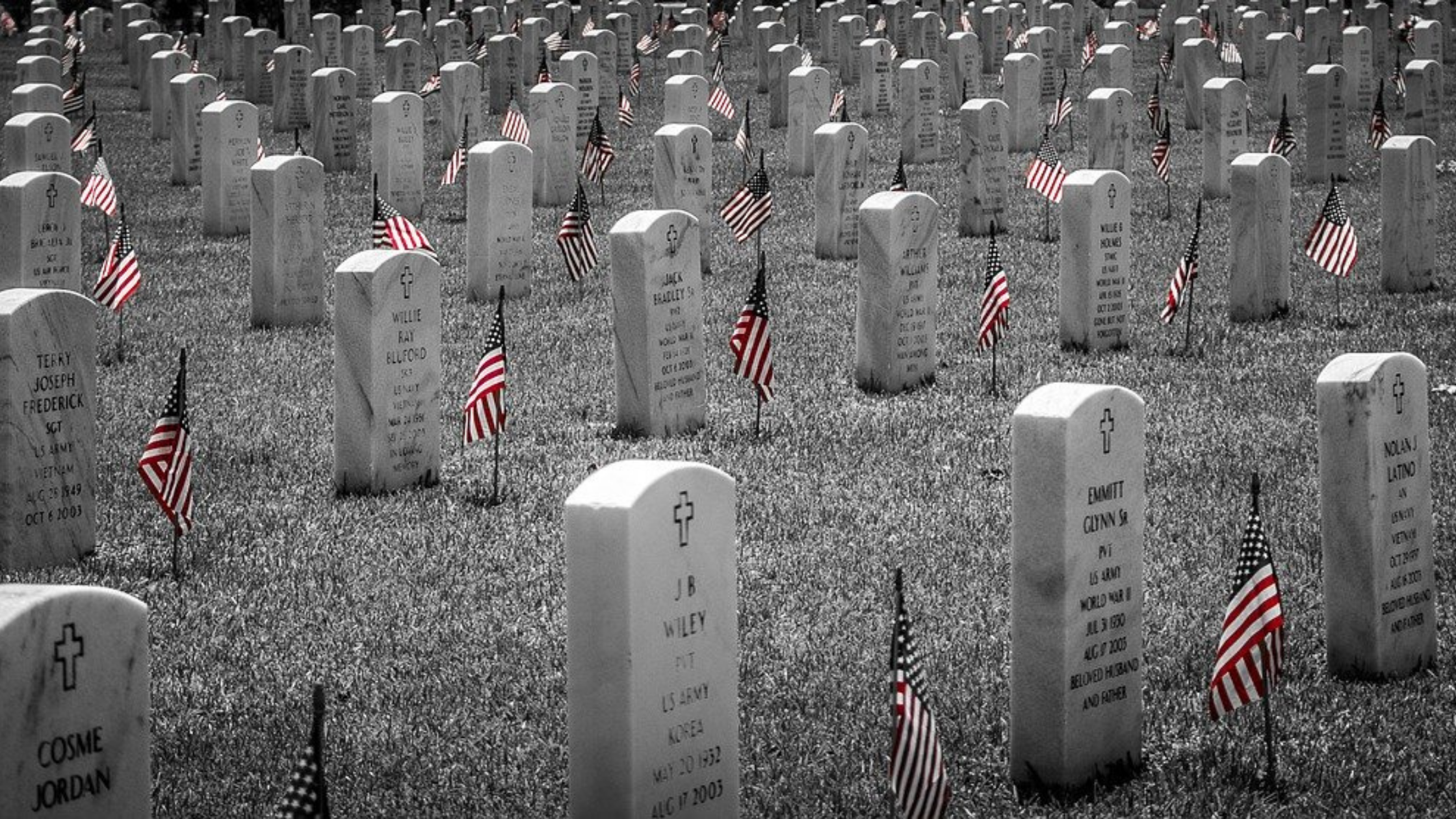 a black and white photos of Military grave markers in perfect rows, american flags next to the markers doting the photo with color.