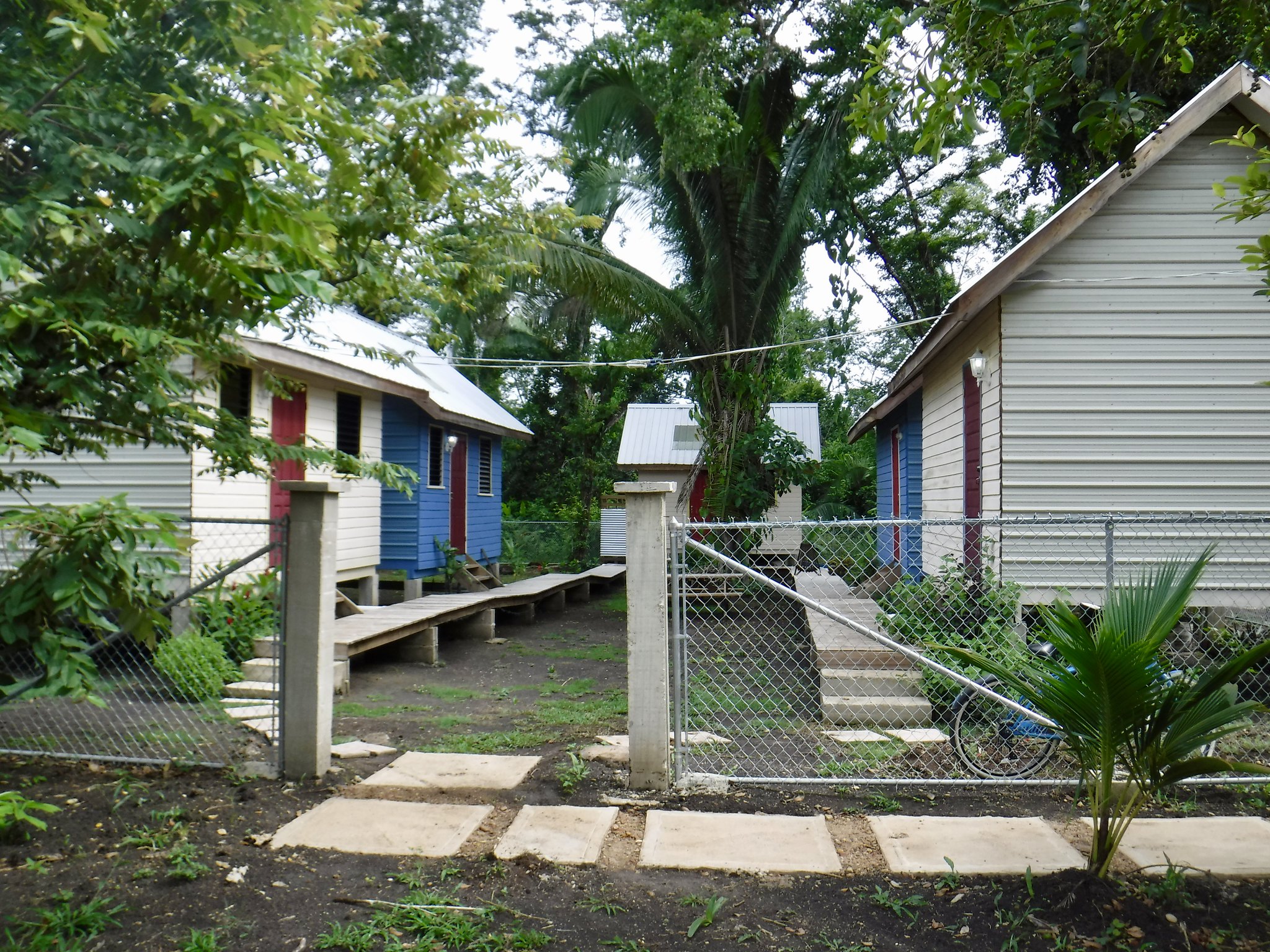 5 tiny homes make a U shape in a small community under large leafy trees.