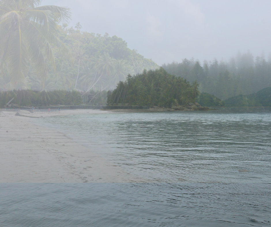 A dreary lake scene, with a tropical palm tree beach faintly imagining its way into the image.