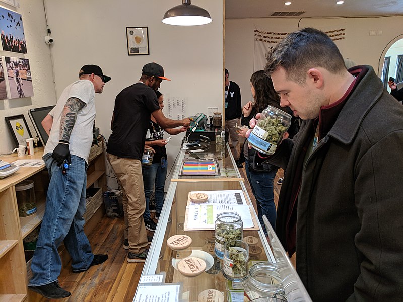 A cannabis tourist smells the marijuana product at a recreational dispensary.