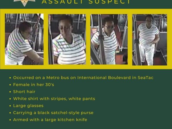 Graphic with photos and information for bus assault suspect 