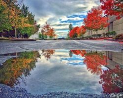 Autumn Reflections in Auburn autumn, reflection photo, auburn wa,