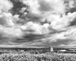 Farm off of West Valley Hwy farm, black and white photograph, auburn wa