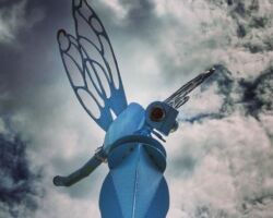 Downtown Auburn Art Installation sculpture, auburn wa, dragonfly