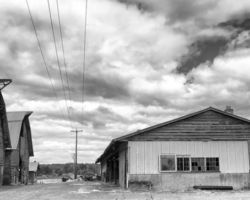 Carpinito Brothers Farm