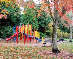 Play Structure in an Auburn Park auburn wa, auburn wa in photographs, auburn in photos, auburn in photographs, city of auburn, auburn washington, pnw, wa, wa state, photos of auburn wa, auburn parks, game farm park, auburn in autumn, autumn park, autumn colors,